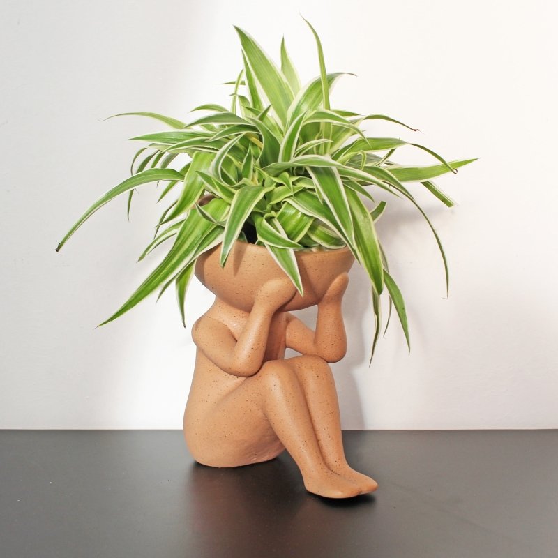 Nur Pflanzen im Kopf | Plants in my head Plant Pot 🪴 - Geschenkebuddy