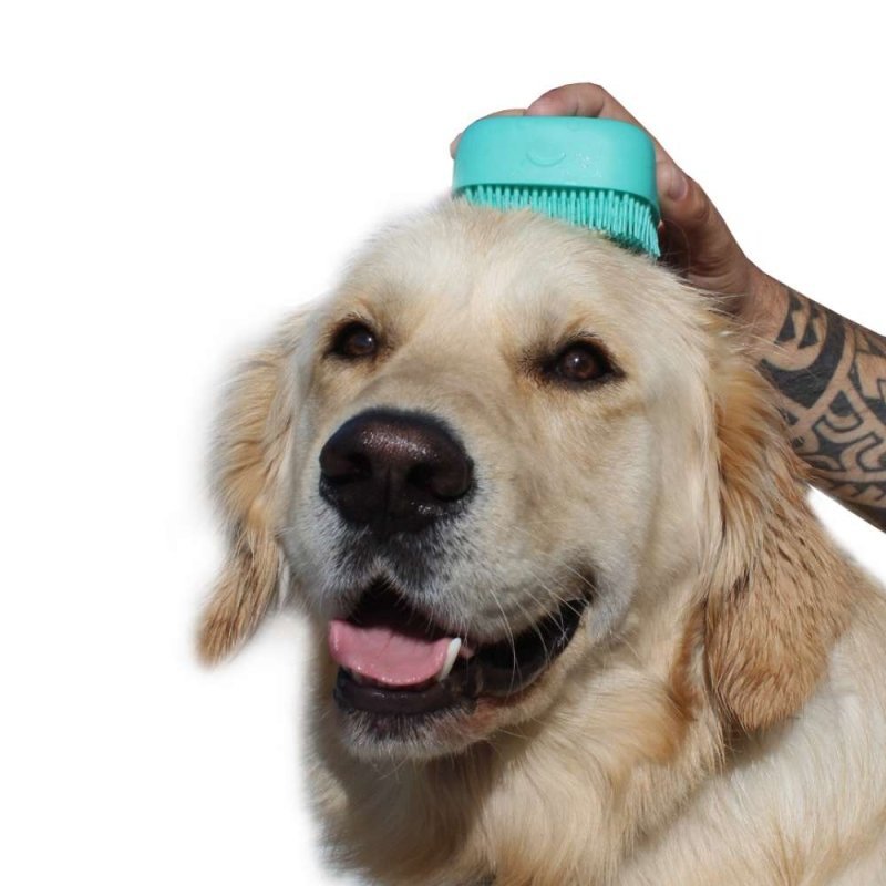 Pet Care Shamponier - und Massagebürste - Geschenkebuddy