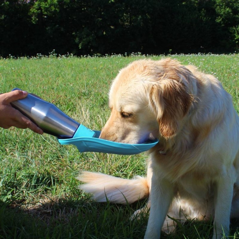 Pet Care Wasserflasche für Haustiere - Geschenkebuddy