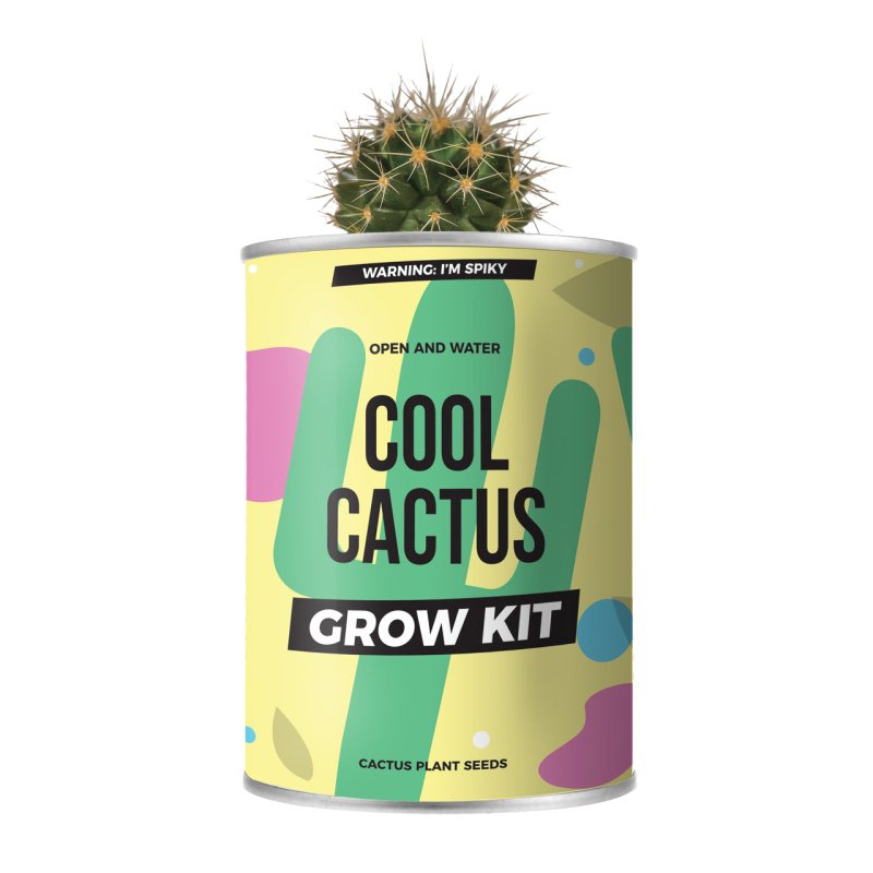 Pflanzen aus der Dose Kaktus | Grow Tin Cactus - Geschenkebuddy