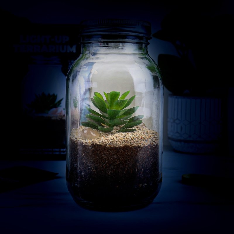 🪴 Solarbetriebenes Terrarium - Geschenkebuddy