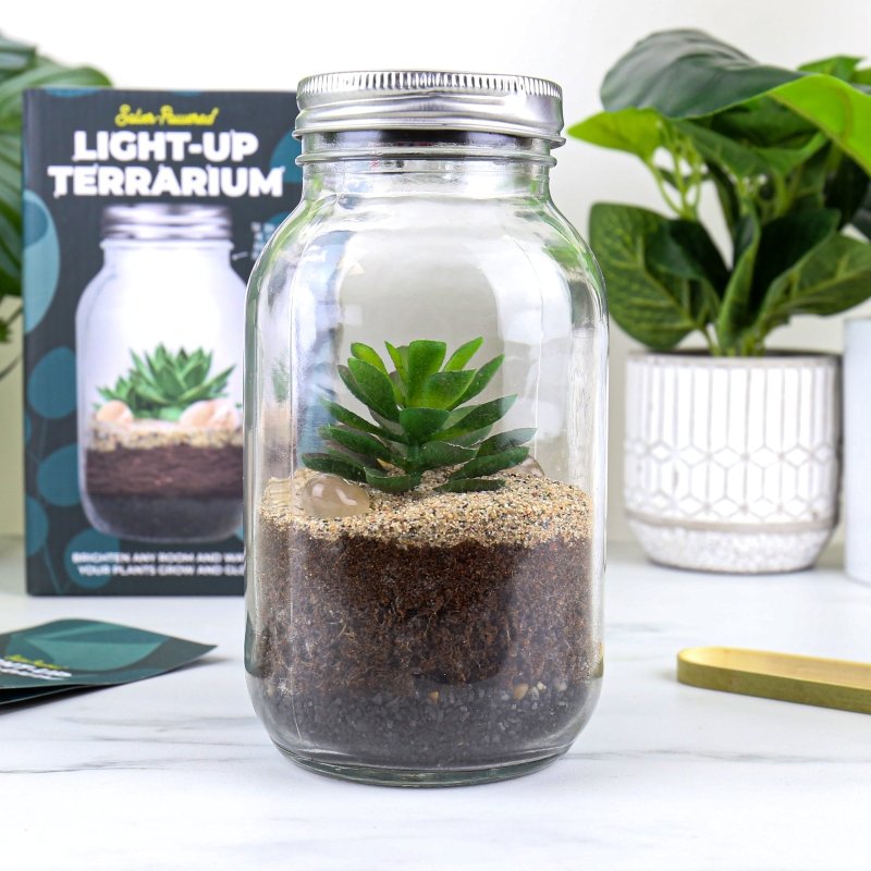 🪴 Solarbetriebenes Terrarium - Geschenkebuddy
