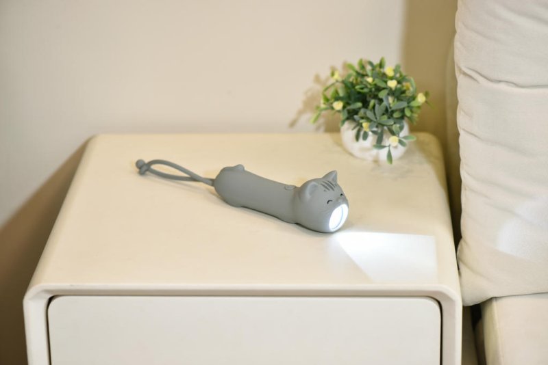 Taschenlampe Katze - Geschenkebuddy