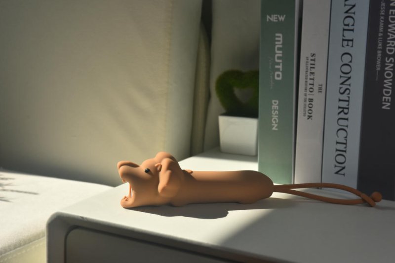 Taschenlampe Löwe - Geschenkebuddy