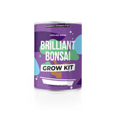 Pflanzen aus der Dose Bonsai | Grow Tin Bonsai