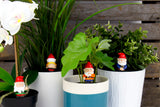 Freche Mini Gartenzwerge | Mini Naughty Gnomes Planters