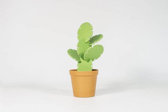 Kaktus Untersetzer | Cactus Coasters 🌵