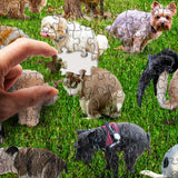 101 Hunde Puzzle | 101 Pooping Puppies Puzzle