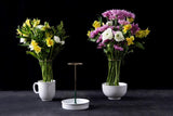 Invisivase minimalistische Vase | Invisivase Minimalistic Vase Creator