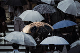 Tierischer Regenschirme