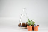 Laborglas Terrarium Anbauset | Chemistry Terrarium Kit 🌵