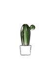 Kaktus Vasen - in versch. Größen